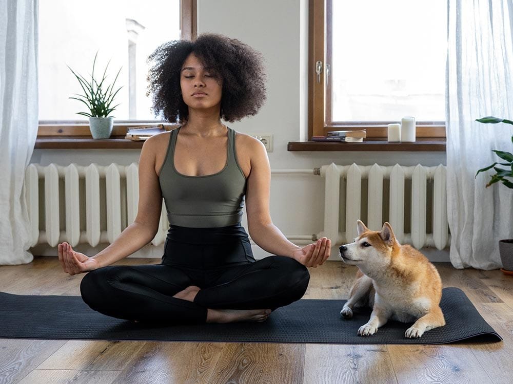 Pellentesque Pulvinar Pellentesque Habitant 5 Trainercarles Pellentesque Pulvinar Pellentesque Habitant